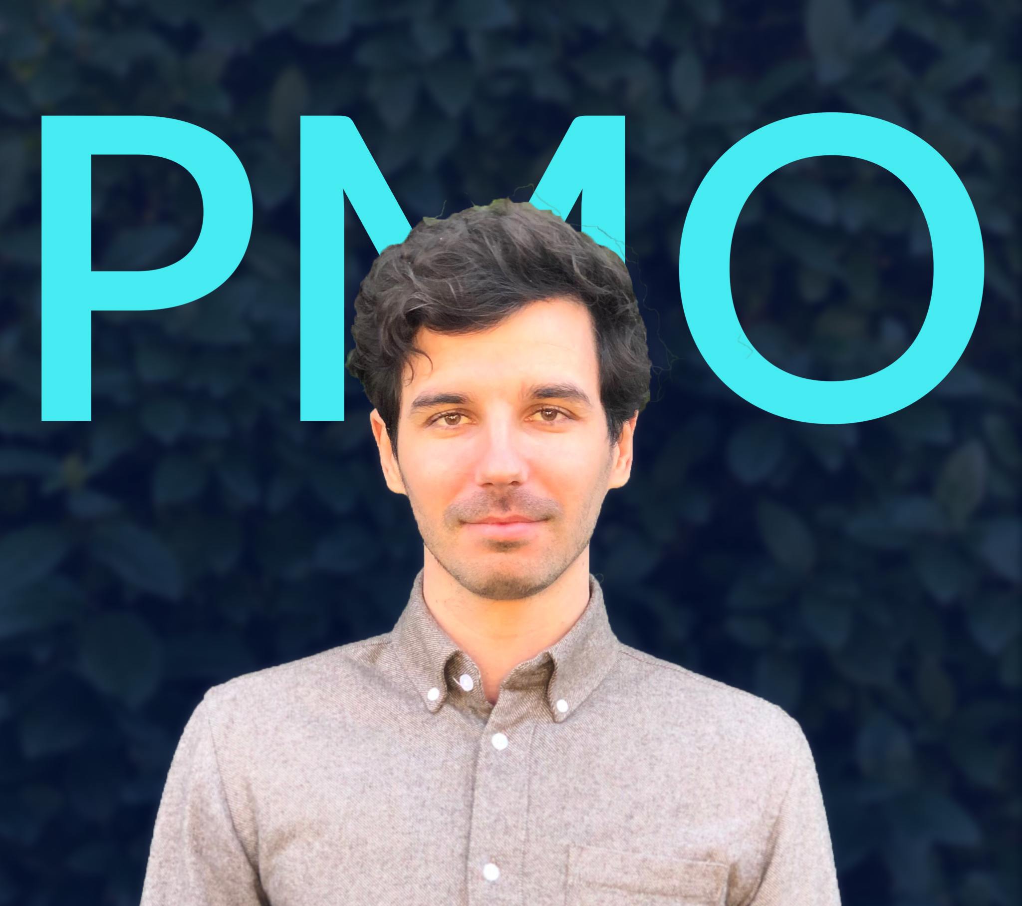 PMO Project management officer IT expert consultant